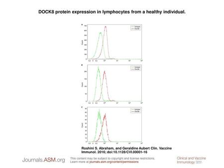 DOCK8 protein expression in lymphocytes from a healthy individual.