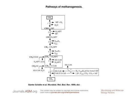 Pathways of methanogenesis.