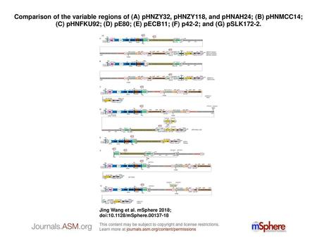 Comparison of the variable regions of (A) pHNZY32, pHNZY118, and pHNAH24; (B) pHNMCC14; (C) pHNFKU92; (D) pE80; (E) pECB11; (F) p42-2; and (G) pSLK172-2.