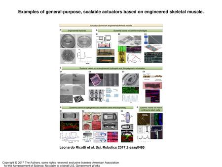 Examples of general-purpose, scalable actuators based on engineered skeletal muscle. Examples of general-purpose, scalable actuators based on engineered.