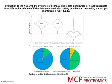 Evaluation to the NEs with the evidence of FNPs