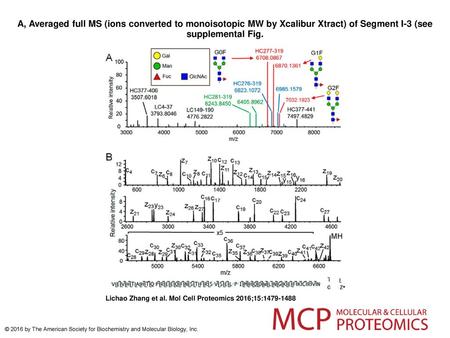 A, Averaged full MS (ions converted to monoisotopic MW by Xcalibur Xtract) of Segment I-3 (see supplemental Fig. A, Averaged full MS (ions converted to.