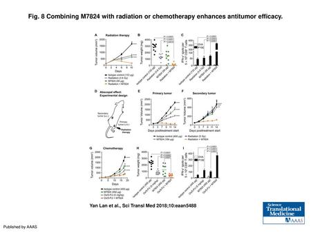 Fig. 8 Combining M7824 with radiation or chemotherapy enhances antitumor efficacy. Combining M7824 with radiation or chemotherapy enhances antitumor efficacy.