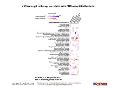 miRNA target pathways correlated with CRC-associated bacteria.