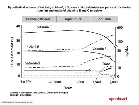 Hypothetical scheme of fat, fatty acid (ω6, ω3, trans and total) intake (as per cent of calories from fat) and intake of vitamins E and C (mg/day). Hypothetical.