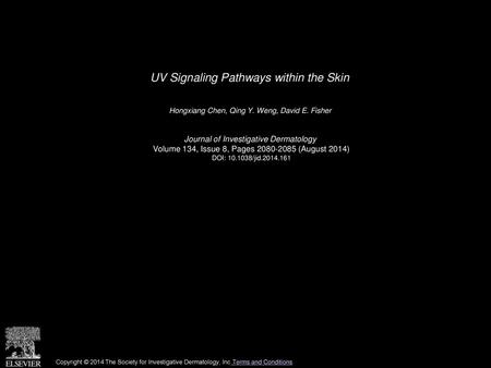 UV Signaling Pathways within the Skin