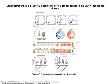 Longitudinal analysis of ZIKV E–specific memory B cell responses in the DENV-experienced donors. Longitudinal analysis of ZIKV E–specific memory B cell.