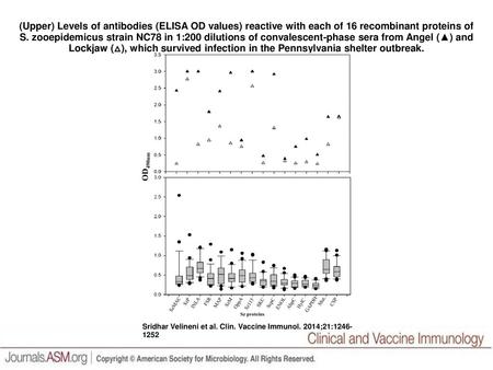 (Upper) Levels of antibodies (ELISA OD values) reactive with each of 16 recombinant proteins of S. zooepidemicus strain NC78 in 1:200 dilutions of convalescent-phase.