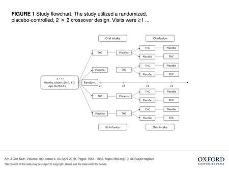 FIGURE 1 Study flowchart