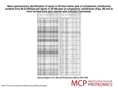 Mass spectrometry identification of spots in 2D blue native gels of cytoplasmic membranes isolated from BL21(DE3)pLysS Spots in 2D BN gels of cytoplasmic.