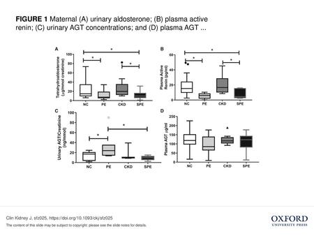 FIGURE 1 Maternal (A) urinary aldosterone; (B) plasma active renin; (C) urinary AGT concentrations; and (D) plasma AGT ... FIGURE 1 Maternal (A) urinary.