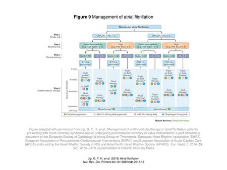 Figure 9 Management of atrial fibrillation