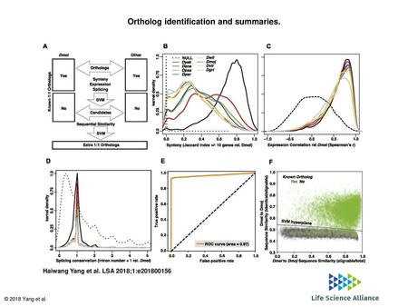 Ortholog identification and summaries.