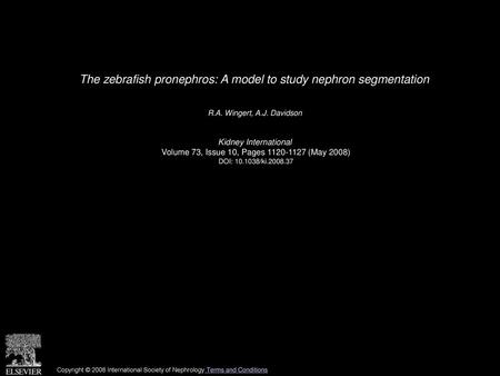 The zebrafish pronephros: A model to study nephron segmentation