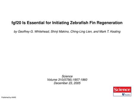 fgf20 Is Essential for Initiating Zebrafish Fin Regeneration