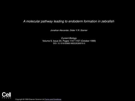 A molecular pathway leading to endoderm formation in zebrafish