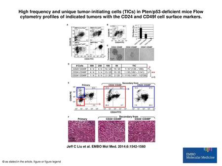 High frequency and unique tumor‐initiating cells (TICs) in Pten/p53‐deficient mice Flow cytometry profiles of indicated tumors with the CD24 and CD49f.