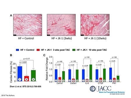 Cardiac Fibrosis at 18 Weeks Post TAC (A) Representative images (original magnification ×20) of Picrosirius red-stained cardiac tissue sections from HF +