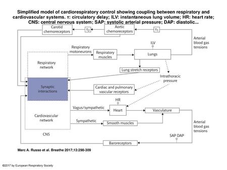 Simplified model of cardiorespiratory control showing coupling between respiratory and cardiovascular systems. τ: circulatory delay; ILV: instantaneous.