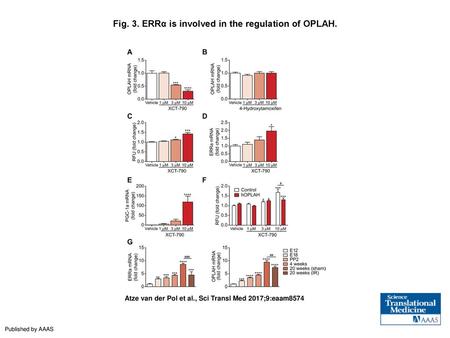 Fig. 3. ERRα is involved in the regulation of OPLAH.