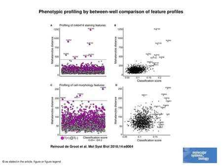 Phenotypic profiling by between‐well comparison of feature profiles