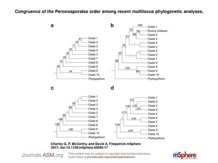 Congruence of the Peronosporales order among recent multilocus phylogenetic analyses. Congruence of the Peronosporales order among recent multilocus phylogenetic.