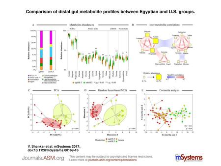 Comparison of distal gut metabolite profiles between Egyptian and U. S