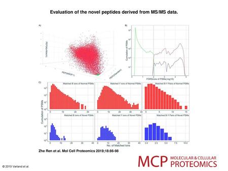 Evaluation of the novel peptides derived from MS/MS data.