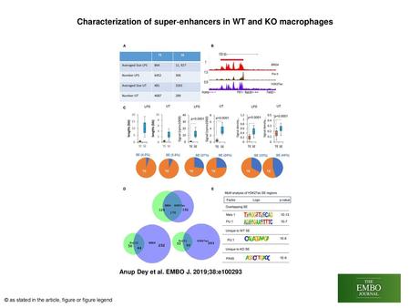 Characterization of super‐enhancers in WT and KO macrophages