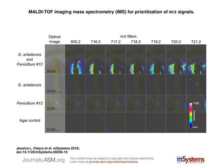 MALDI-TOF imaging mass spectrometry (IMS) for prioritization of m/z signals. MALDI-TOF imaging mass spectrometry (IMS) for prioritization of m/z signals.