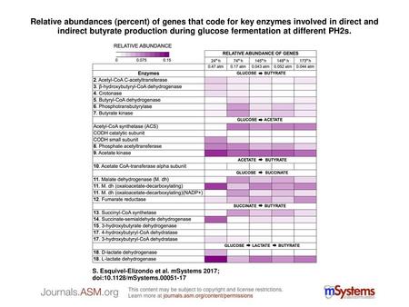 Relative abundances (percent) of genes that code for key enzymes involved in direct and indirect butyrate production during glucose fermentation at different.