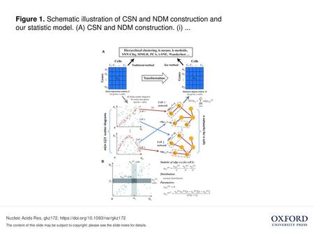 Figure 1. Schematic illustration of CSN and NDM construction and our statistic model. (A) CSN and NDM construction. (i) ... Figure 1. Schematic illustration.