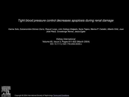 Tight blood pressure control decreases apoptosis during renal damage