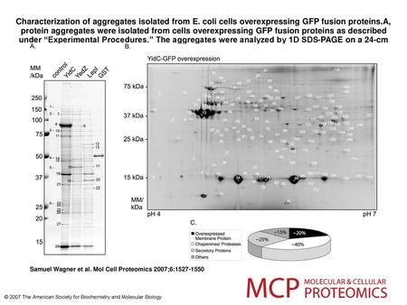 Characterization of aggregates isolated from E