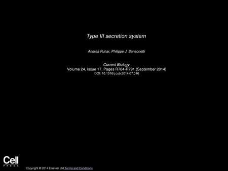 Type III secretion system