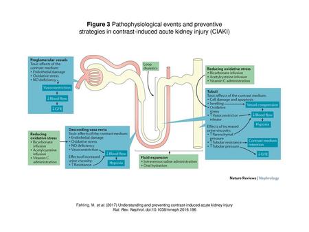 Figure 3 Pathophysiological events and preventive