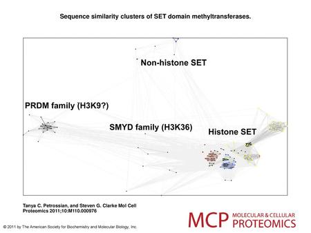 Sequence similarity clusters of SET domain methyltransferases.