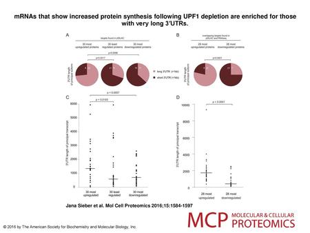 MRNAs that show increased protein synthesis following UPF1 depletion are enriched for those with very long 3′UTRs. mRNAs that show increased protein synthesis.