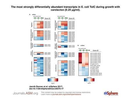 The most strongly differentially abundant transcripts in E