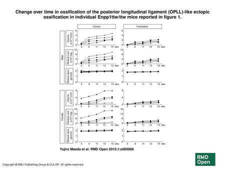 Change over time in ossification of the posterior longitudinal ligament (OPLL)-like ectopic ossification in individual Enpp1ttw/ttw mice reported in figure.