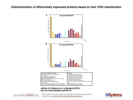 Characterization of differentially expressed proteins based on their COG classification. Characterization of differentially expressed proteins based on.