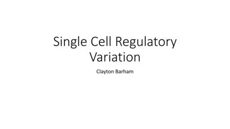 Single Cell Regulatory Variation