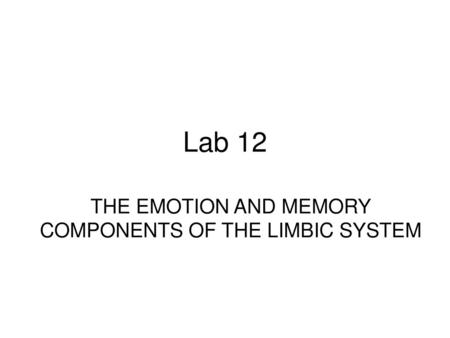 THE EMOTION AND MEMORY COMPONENTS OF THE LIMBIC SYSTEM