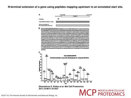 N-terminal extension of a gene using peptides mapping upstream to an annotated start site. N-terminal extension of a gene using peptides mapping upstream.