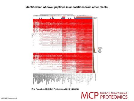 Identification of novel peptides in annotations from other plants.