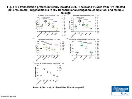 Fig. 1 HIV transcription profiles in freshly isolated CD4+ T cells and PBMCs from HIV-infected patients on ART suggest blocks to HIV transcriptional elongation,