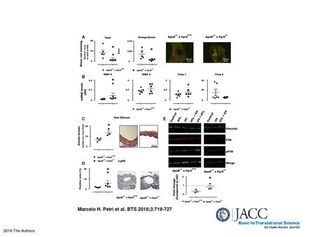 Marcelo H. Petri et al. BTS 2018;3: