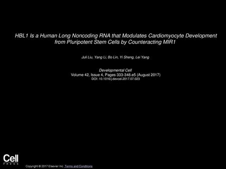 HBL1 Is a Human Long Noncoding RNA that Modulates Cardiomyocyte Development from Pluripotent Stem Cells by Counteracting MIR1  Juli Liu, Yang Li, Bo Lin,