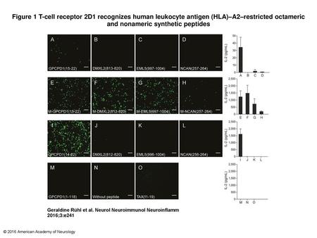 Figure 1 T-cell receptor 2D1 recognizes human leukocyte antigen (HLA)–A2–restricted octameric and nonameric synthetic peptides T-cell receptor 2D1 recognizes.