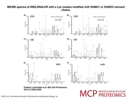 MS/MS spectra of INEILSNALKR with a Lys residue modified with SUMO1 or SUMO3 remnant chains. MS/MS spectra of INEILSNALKR with a Lys residue modified with.